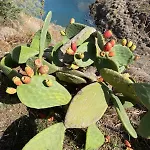 Aethalios Katoikia بيت للعطل *