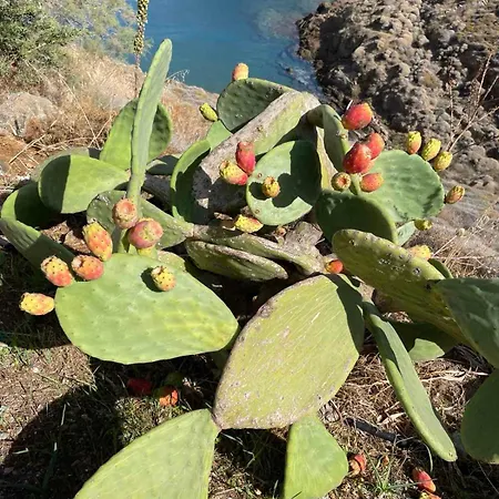 Aethalios Katoikia Holiday home *